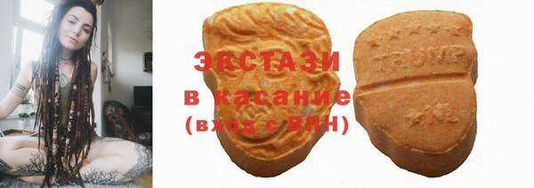шишки Сатка