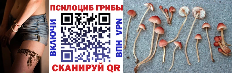 Псилоцибиновые грибы ЛСД  Кукмор 